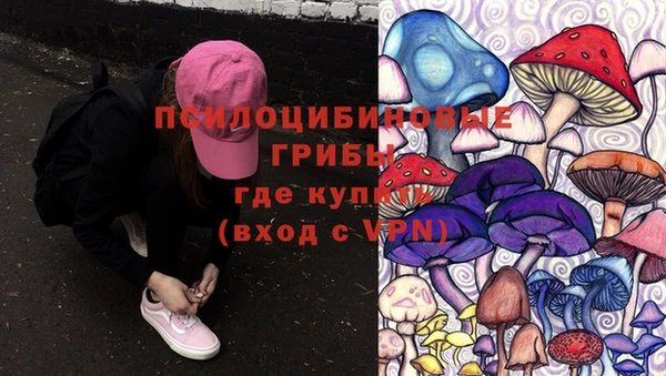 марки lsd Абаза