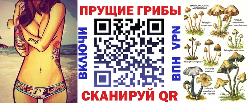 Галлюциногенные грибы Cubensis купить наркоту Кострома