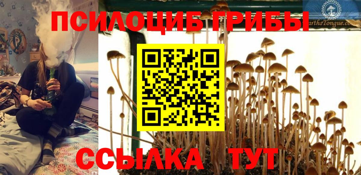 Псилоцибиновые грибы Psilocybine cubensis  Вход с VPN  Кострома  Галлюциногенные грибы Cubensis 