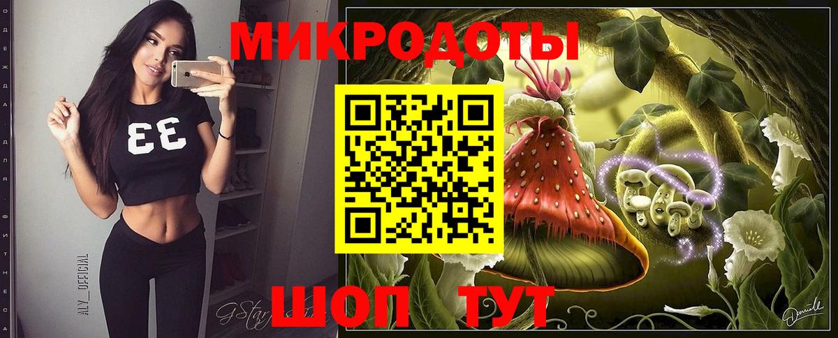 Галлюциногенные грибы Psilocybe Кострома